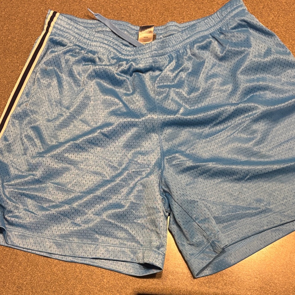 Champion Light Blue Athletic Shorts